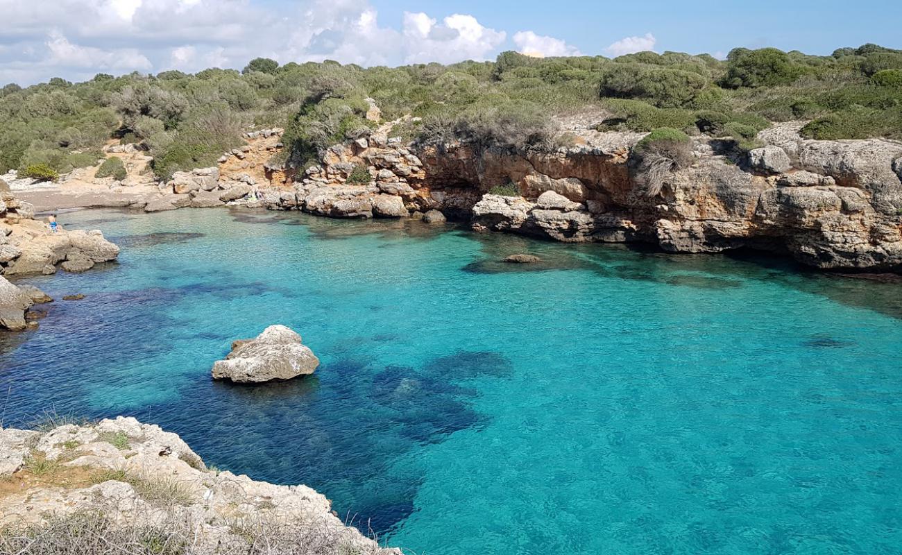 Cala Petita'in fotoğrafı i̇nce bej kum yüzey ile