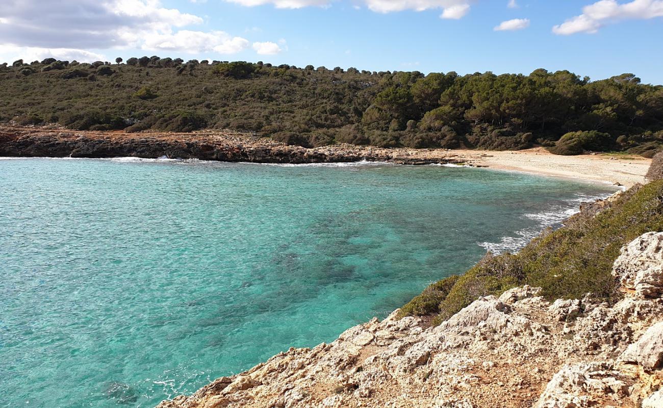 Cala Varques'in fotoğrafı i̇nce bej kum yüzey ile
