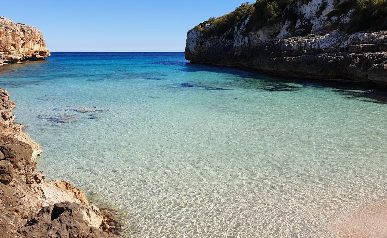 Beach Cala Sequer'in fotoğrafı i̇nce bej kum yüzey ile