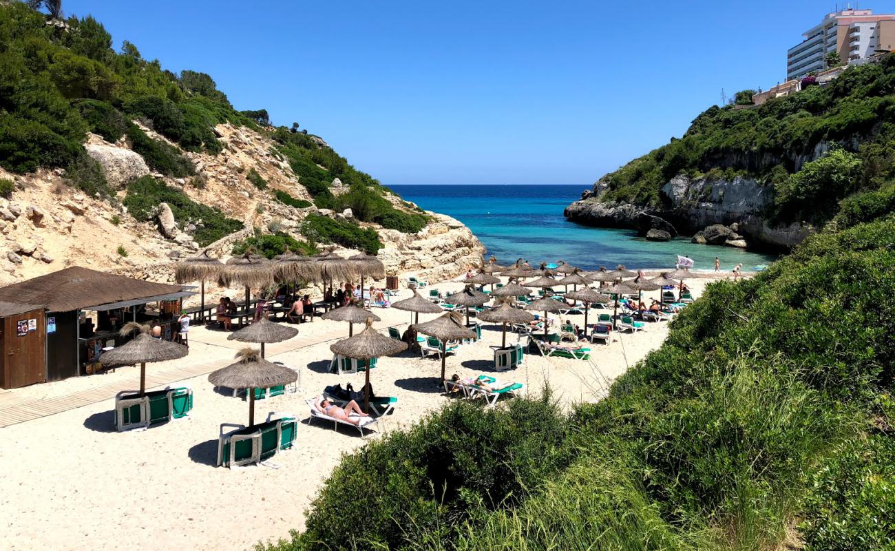 Beach Cove'in fotoğrafı i̇nce bej kum yüzey ile