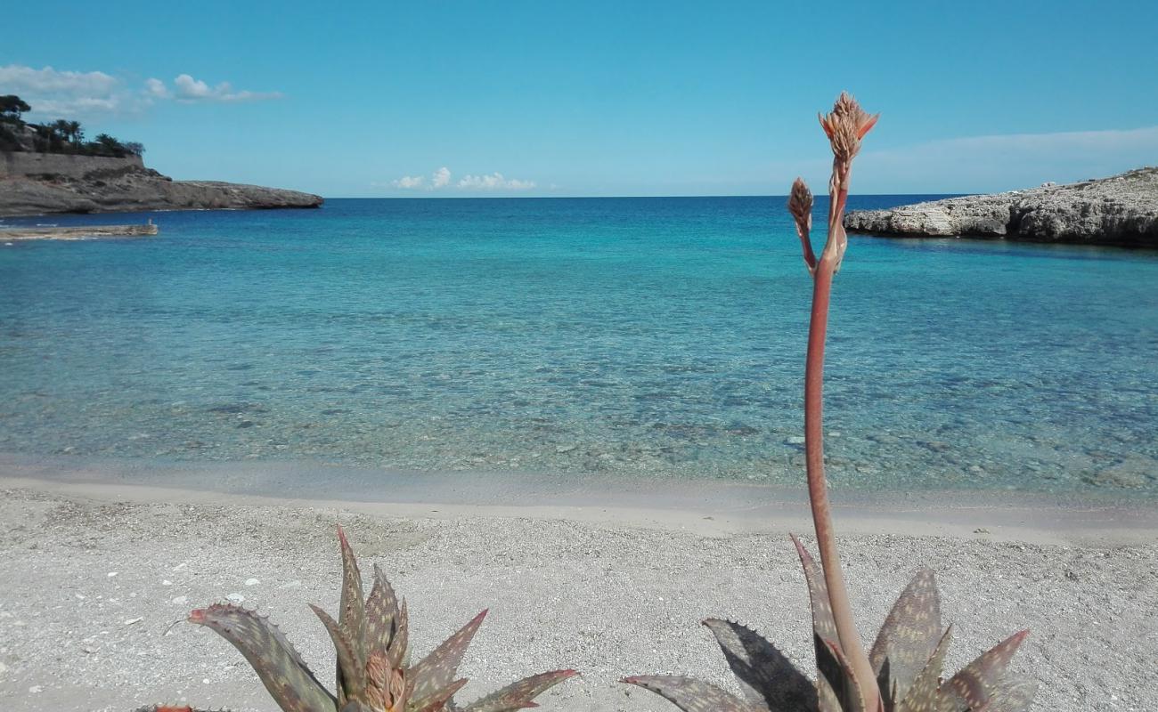 Playa Cala Murada'in fotoğrafı bej kum ve kayalar yüzey ile