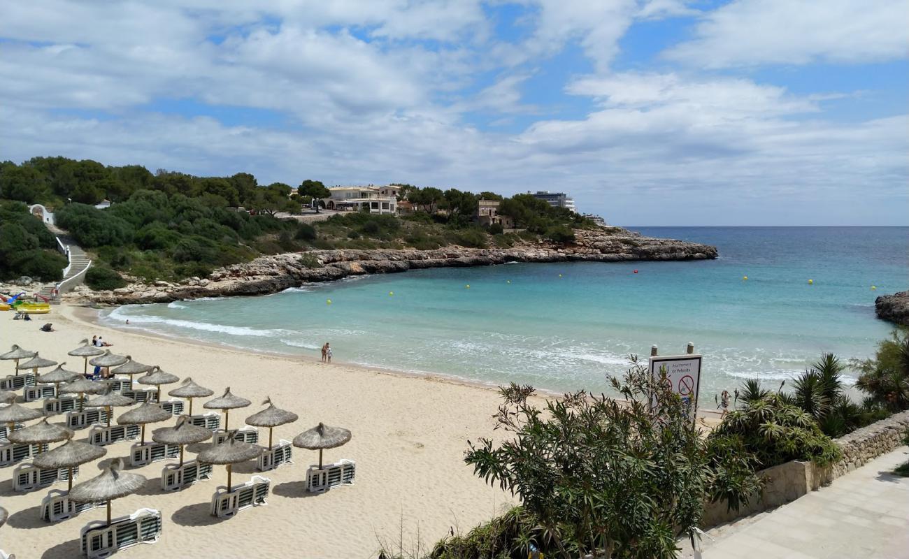Cala Marcal Plajı'in fotoğrafı i̇nce bej kum yüzey ile