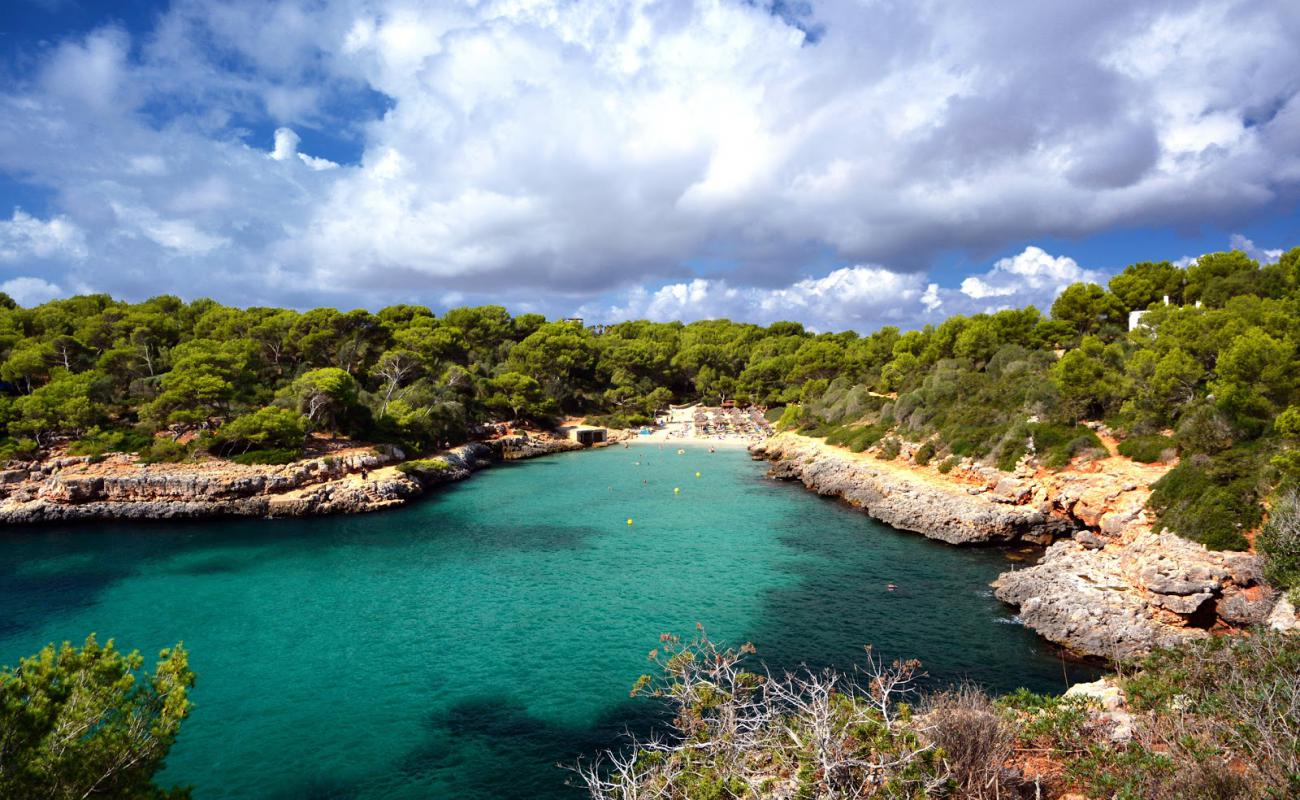 Cala Sa Nau Plajı'in fotoğrafı i̇nce bej kum yüzey ile
