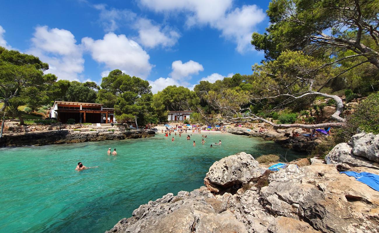 Cala Mitjana'in fotoğrafı i̇nce bej kum yüzey ile