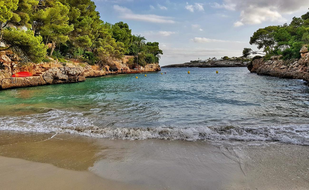 Playa de Cala Serena'in fotoğrafı i̇nce bej kum yüzey ile