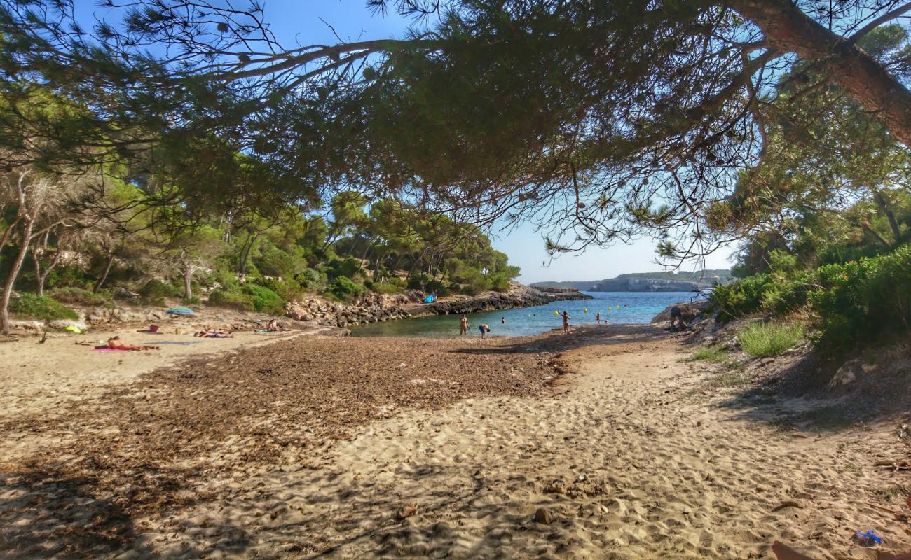 Cala Barca'in fotoğrafı parlak kum ve kayalar yüzey ile