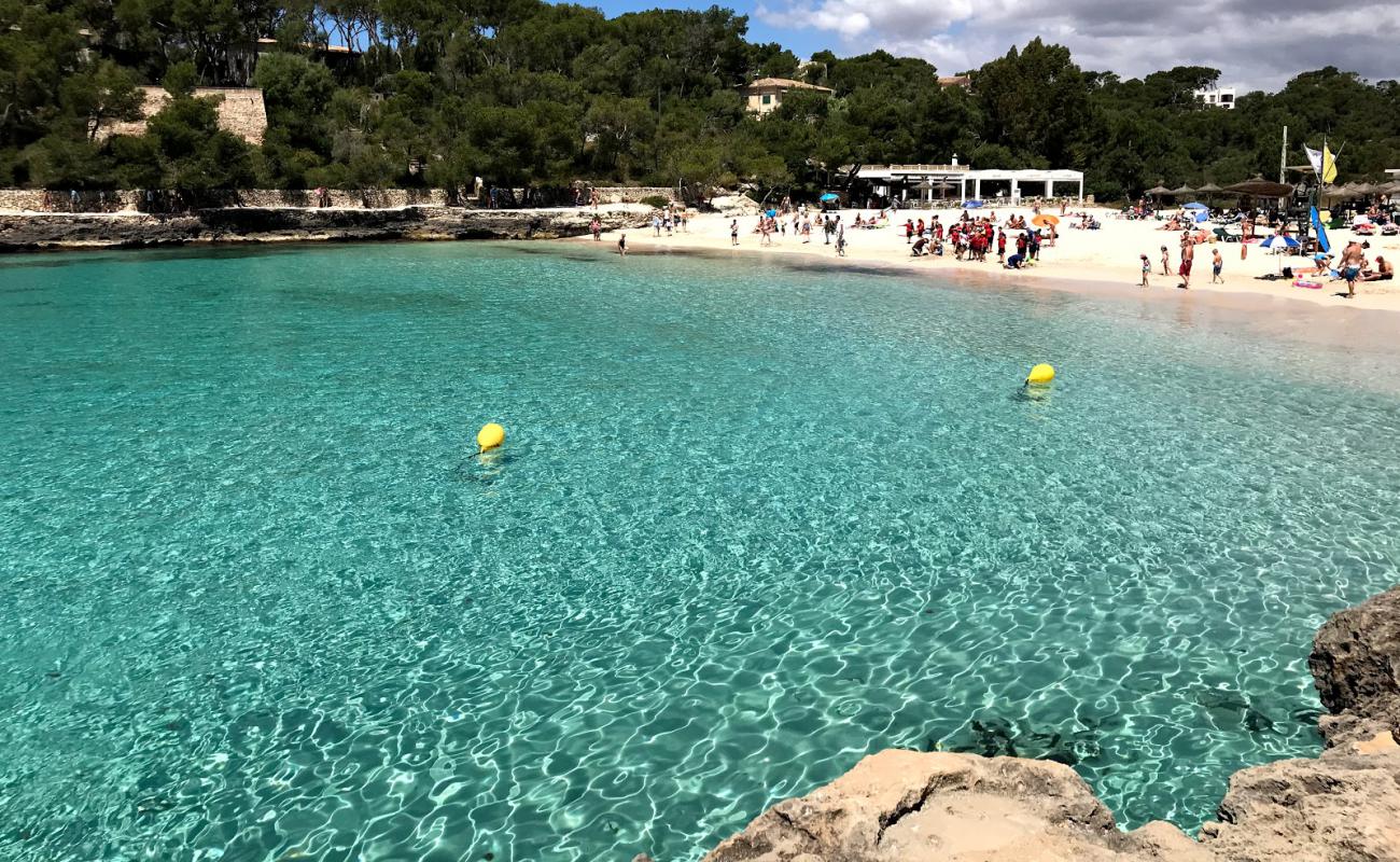 Cala Mondrago Plajı'in fotoğrafı parlak ince kum yüzey ile