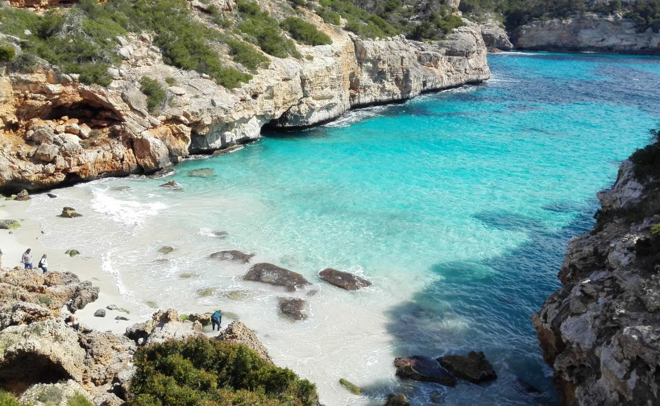 Calo del Moro Plajı'in fotoğrafı i̇nce bej kum yüzey ile