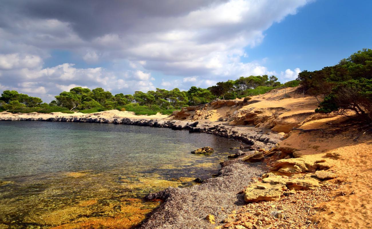 Cala en Tugores'in fotoğrafı kayalık arazi yüzey ile
