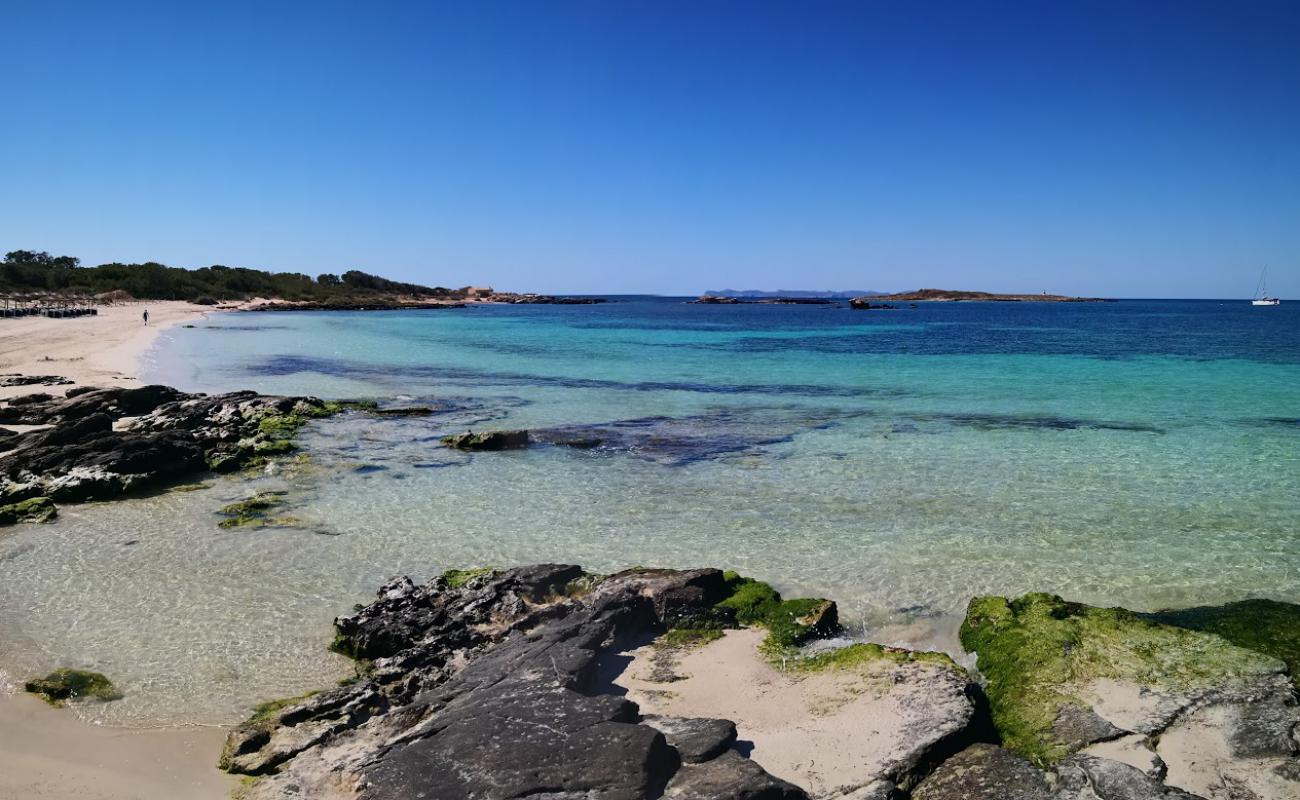 Playa De Sa Roquetas'in fotoğrafı i̇nce bej kum yüzey ile