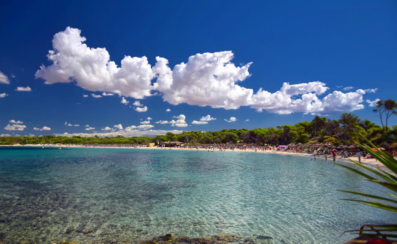 Moli de s'Estany Plajı'in fotoğrafı parlak ince kum yüzey ile