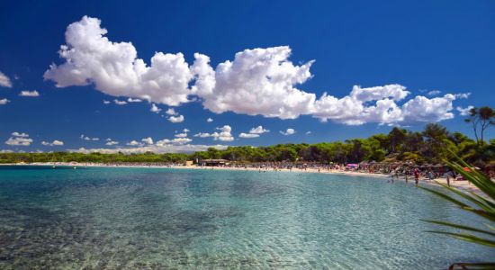 Moli de s'Estany Plajı