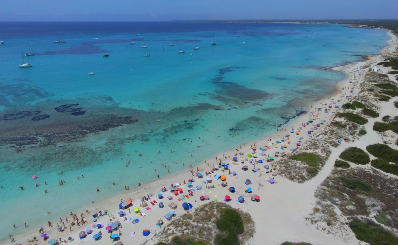 Platja Des Trenc'in fotoğrafı beyaz ince kum yüzey ile