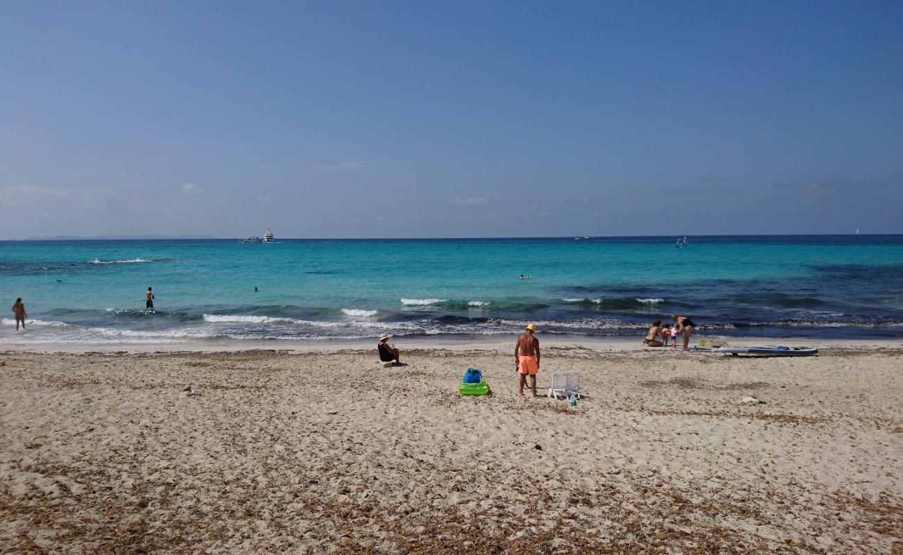 Freu de ses Covetes'in fotoğrafı kirli temizlik seviyesi ile