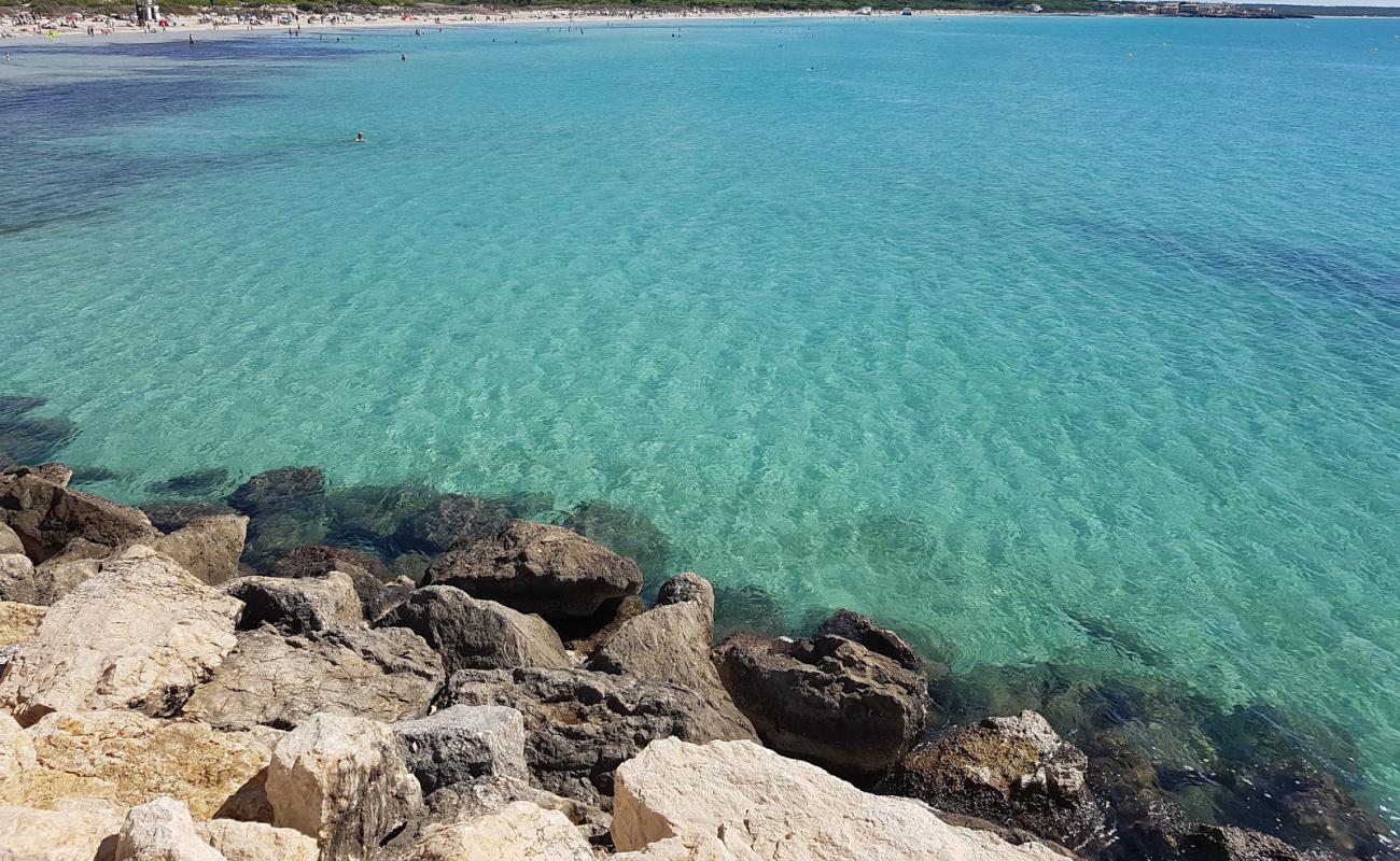 Ses Covetes'in fotoğrafı i̇nce beyaz kum yüzey ile