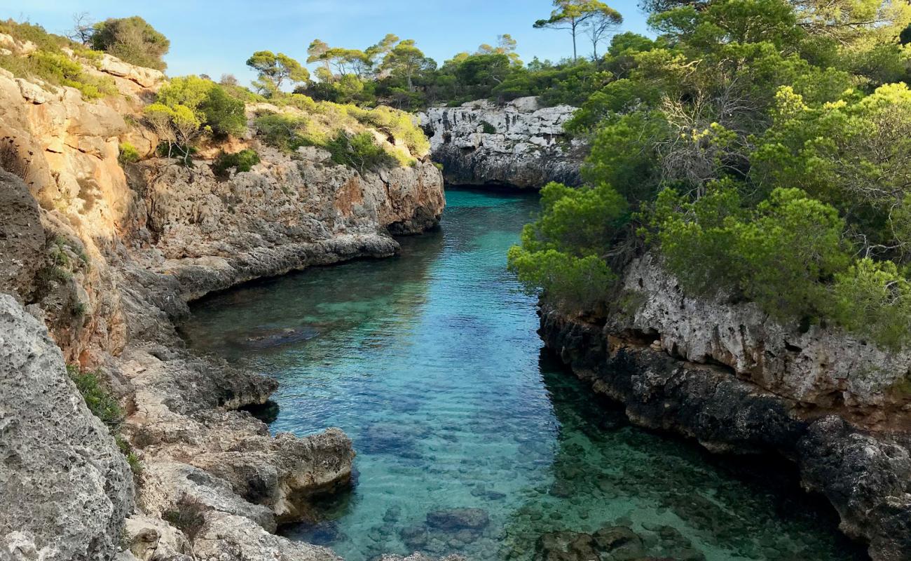 Cala Beltran'in fotoğrafı taşlar yüzey ile