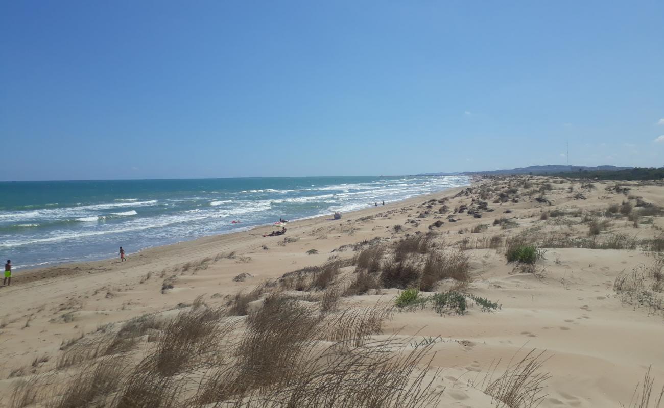 Playa de El Pinet'in fotoğrafı kahverengi kum yüzey ile