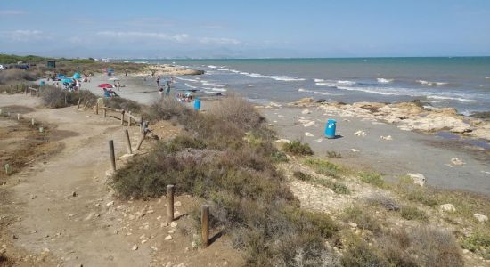 Santa Pola dog beach