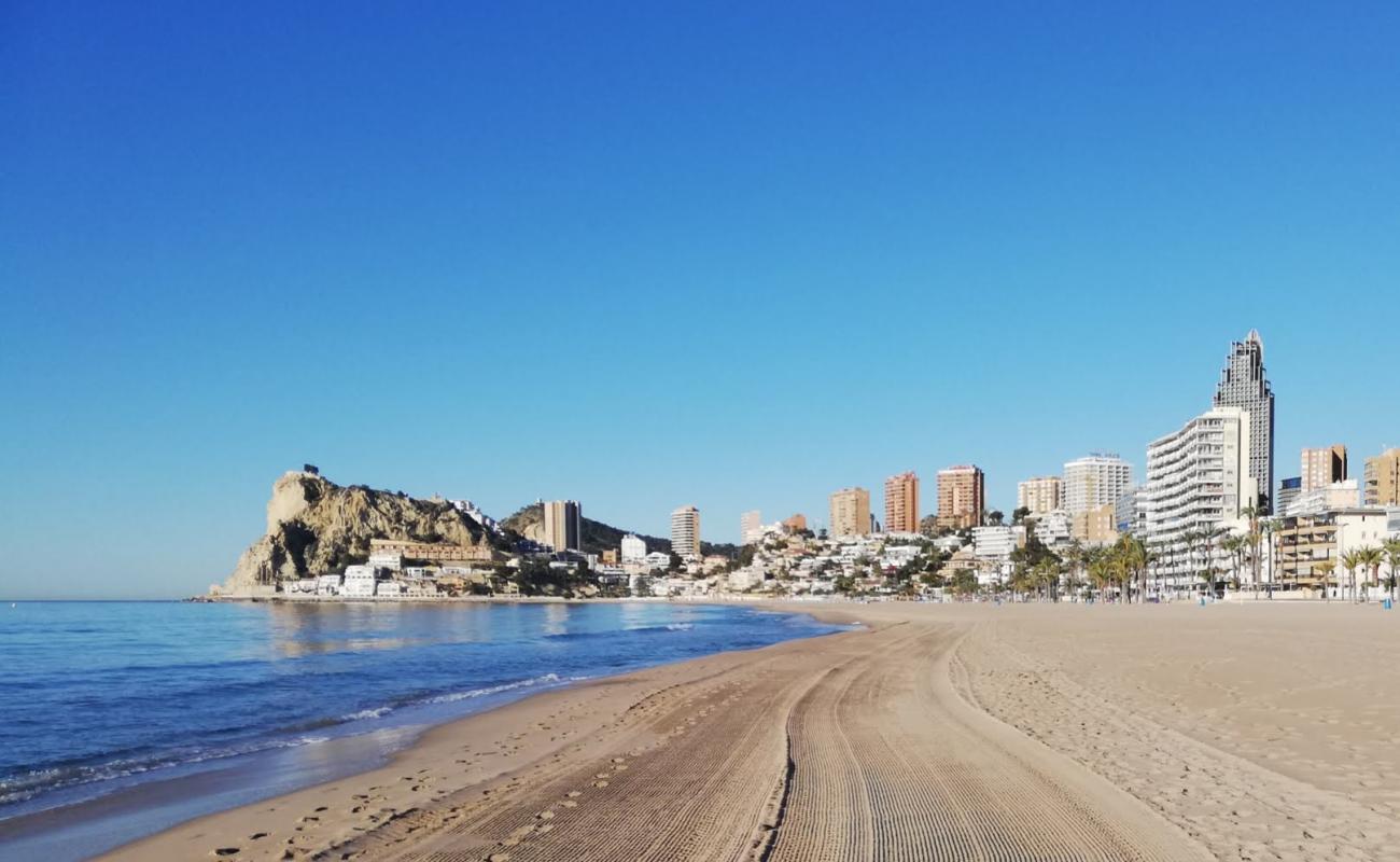 Playa de Poniente'in fotoğrafı parlak kum yüzey ile