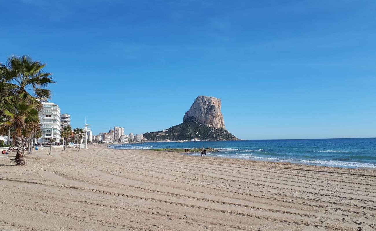 Playa del Arenal-Bol'in fotoğrafı parlak kum yüzey ile