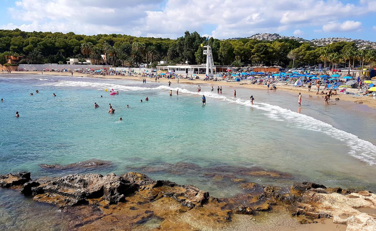 Platja de l'Ampolla'in fotoğrafı kahverengi kum yüzey ile