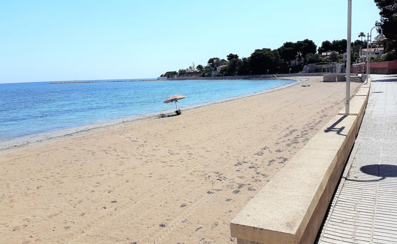 Marineta Casiana'in fotoğrafı kahverengi kum yüzey ile