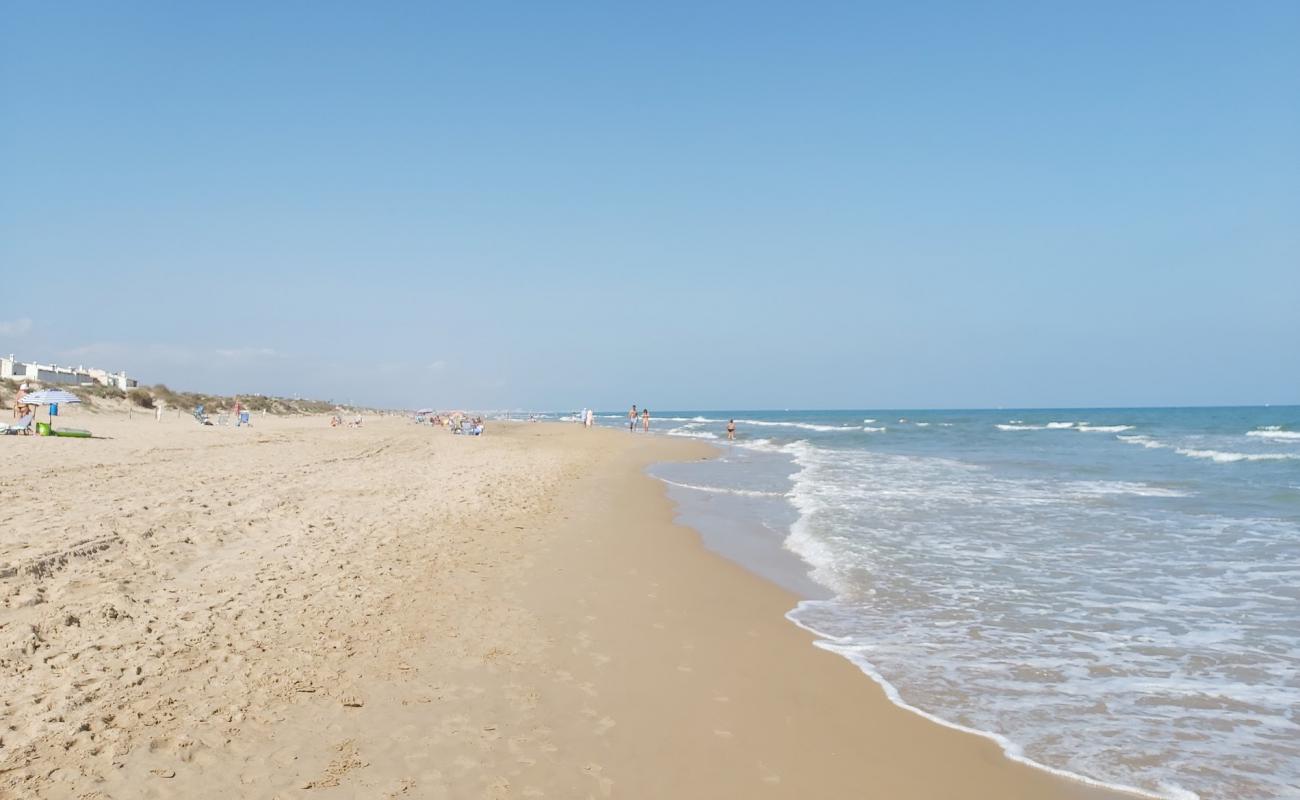 Platja la devesa'in fotoğrafı kahverengi kum yüzey ile