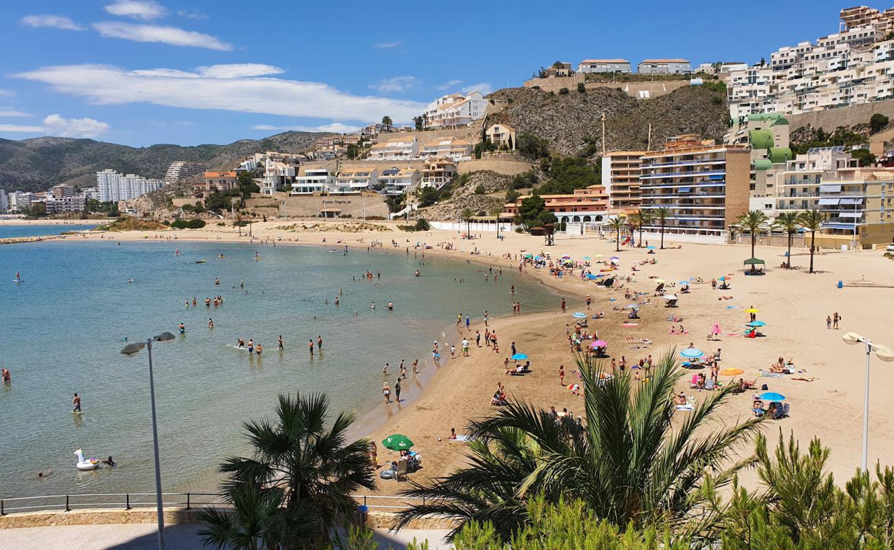Playa de los Olivos'in fotoğrafı kahverengi kum yüzey ile