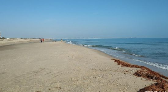 Platja la Garrofera