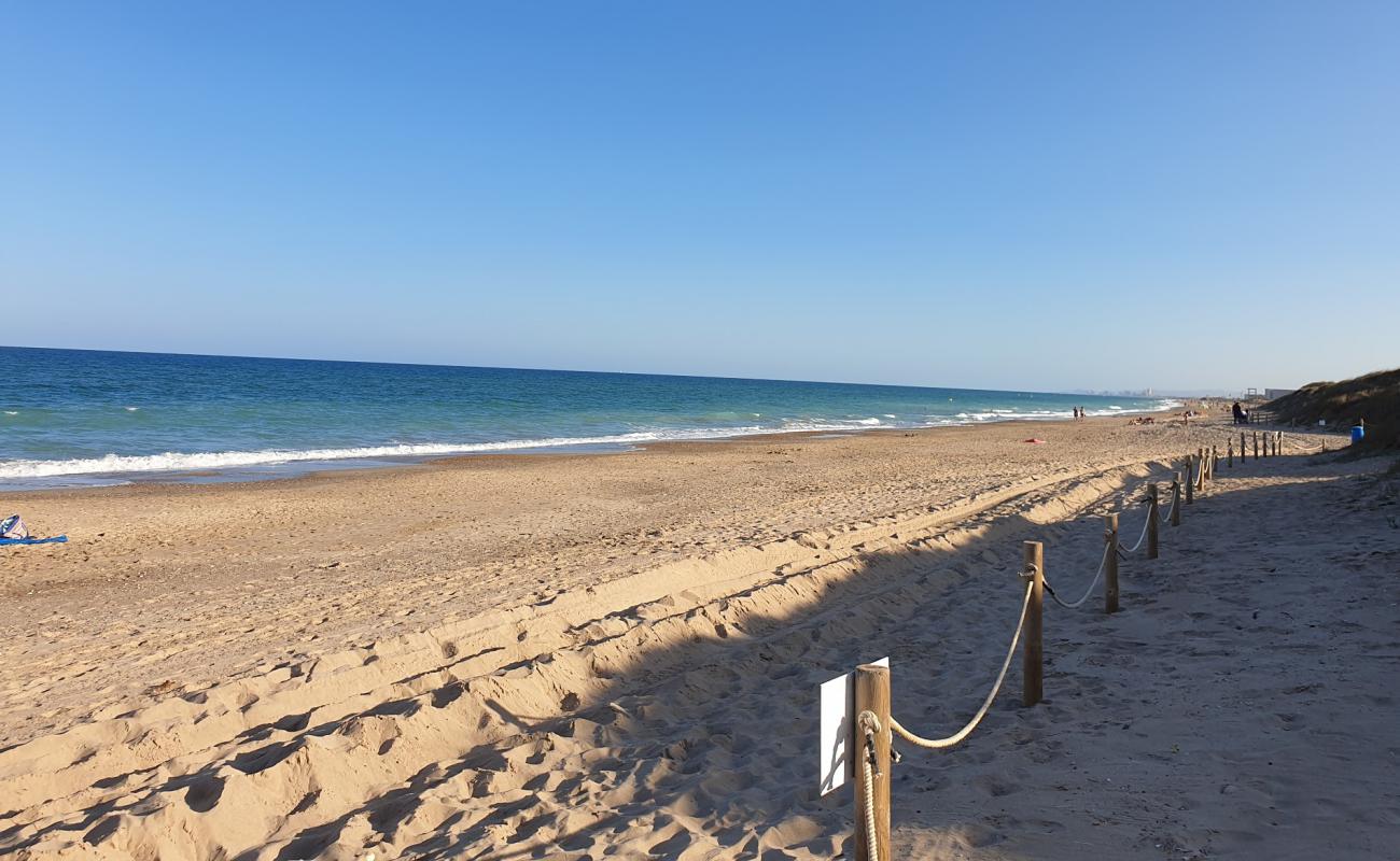 Platja del Saler'in fotoğrafı açık bej kum yüzey ile