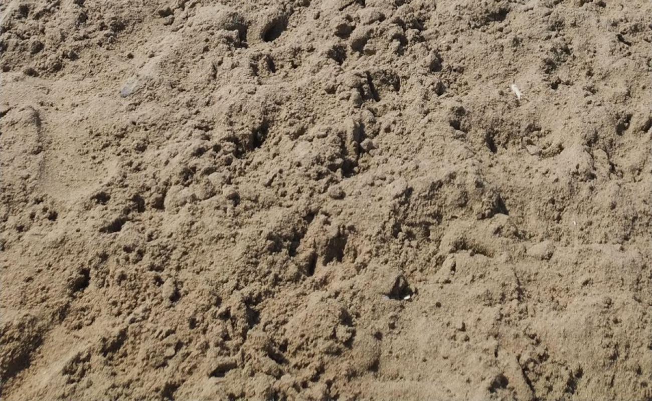 Playa de Canet'in fotoğrafı kahverengi kum yüzey ile