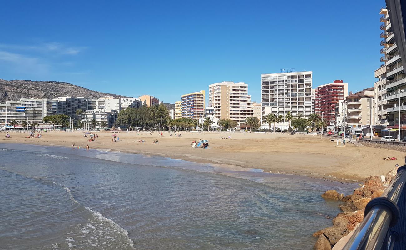 Playa de la Concha'in fotoğrafı kahverengi kum yüzey ile