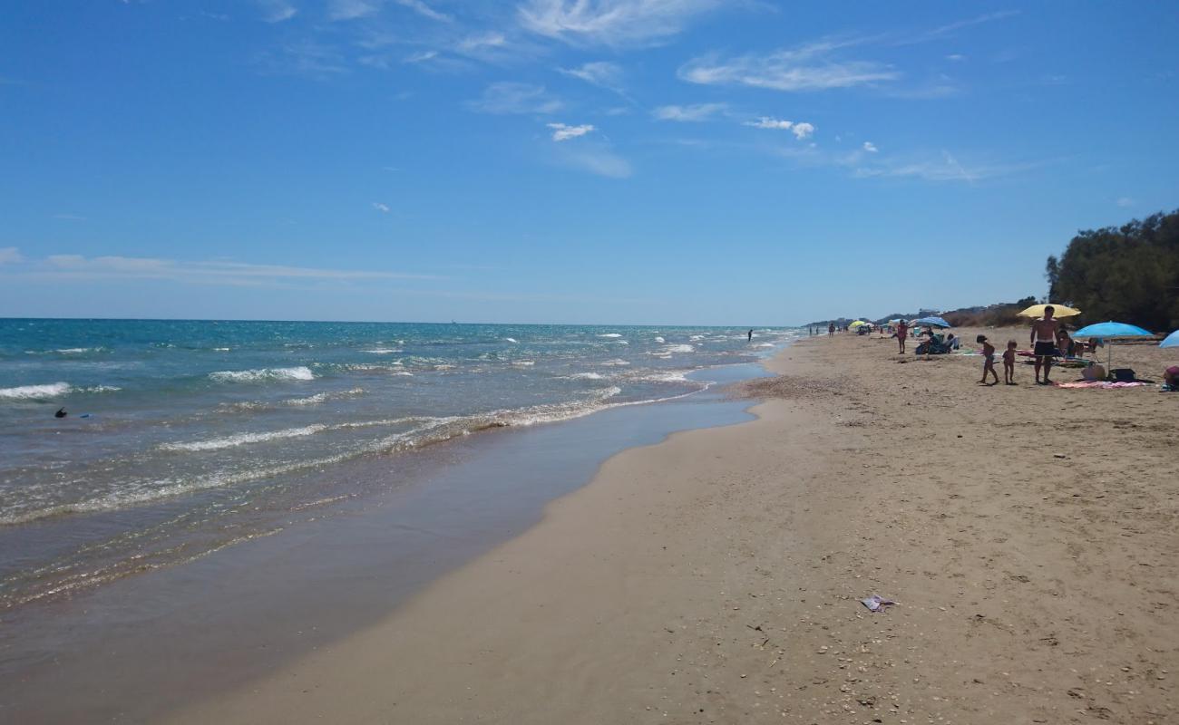 Playa de Torrenostra'in fotoğrafı kahverengi kum yüzey ile