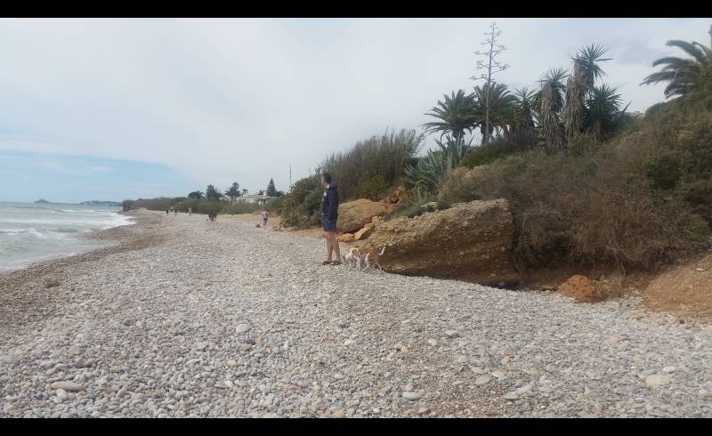 Canina D'Aiguaoliva'in fotoğrafı gri çakıl taşı yüzey ile