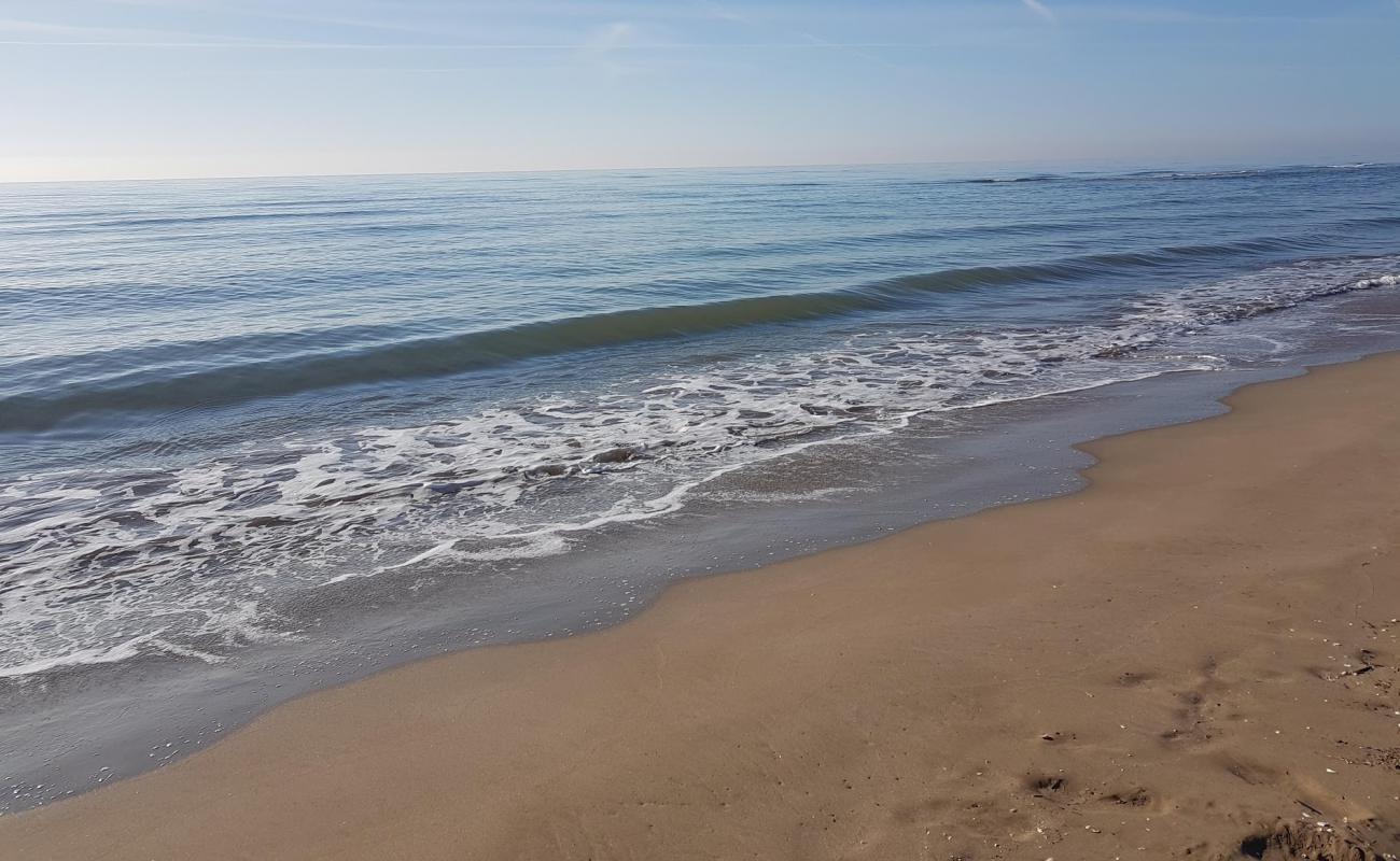 Platja dels Eucaliptus'in fotoğrafı kahverengi kum yüzey ile