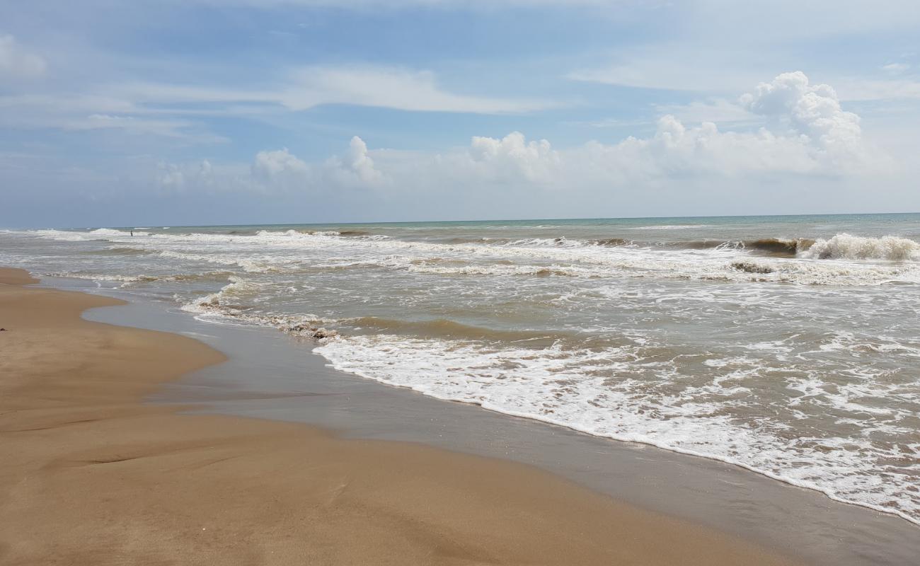 Platja Bassa d'Arena'in fotoğrafı kahverengi kum yüzey ile