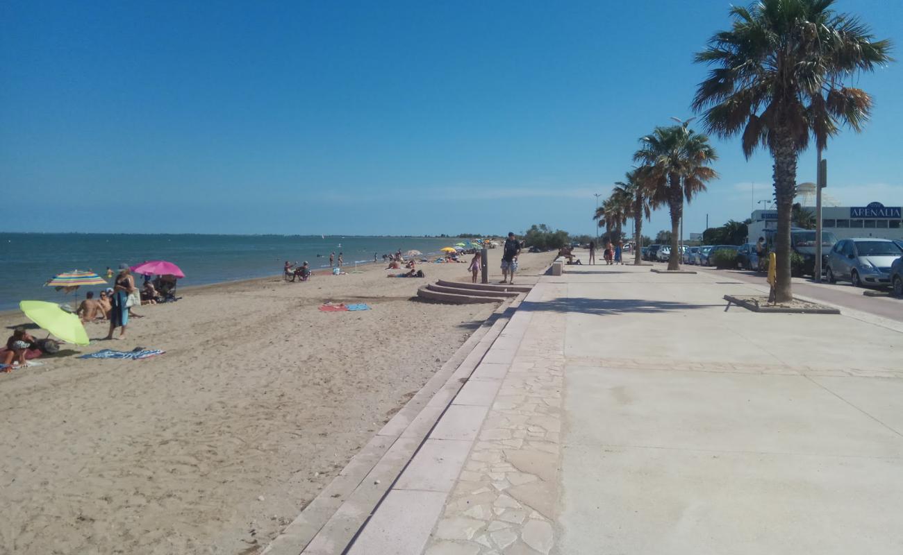 Platja de l'Arenal'in fotoğrafı kahverengi kum yüzey ile