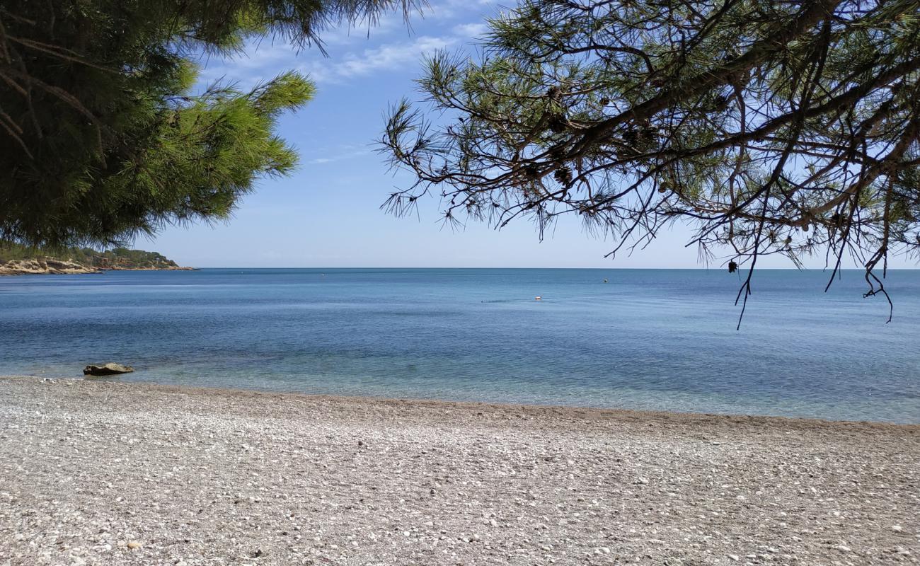 Platja de l'Aliga'in fotoğrafı küçük kahverengi çakıllar yüzey ile