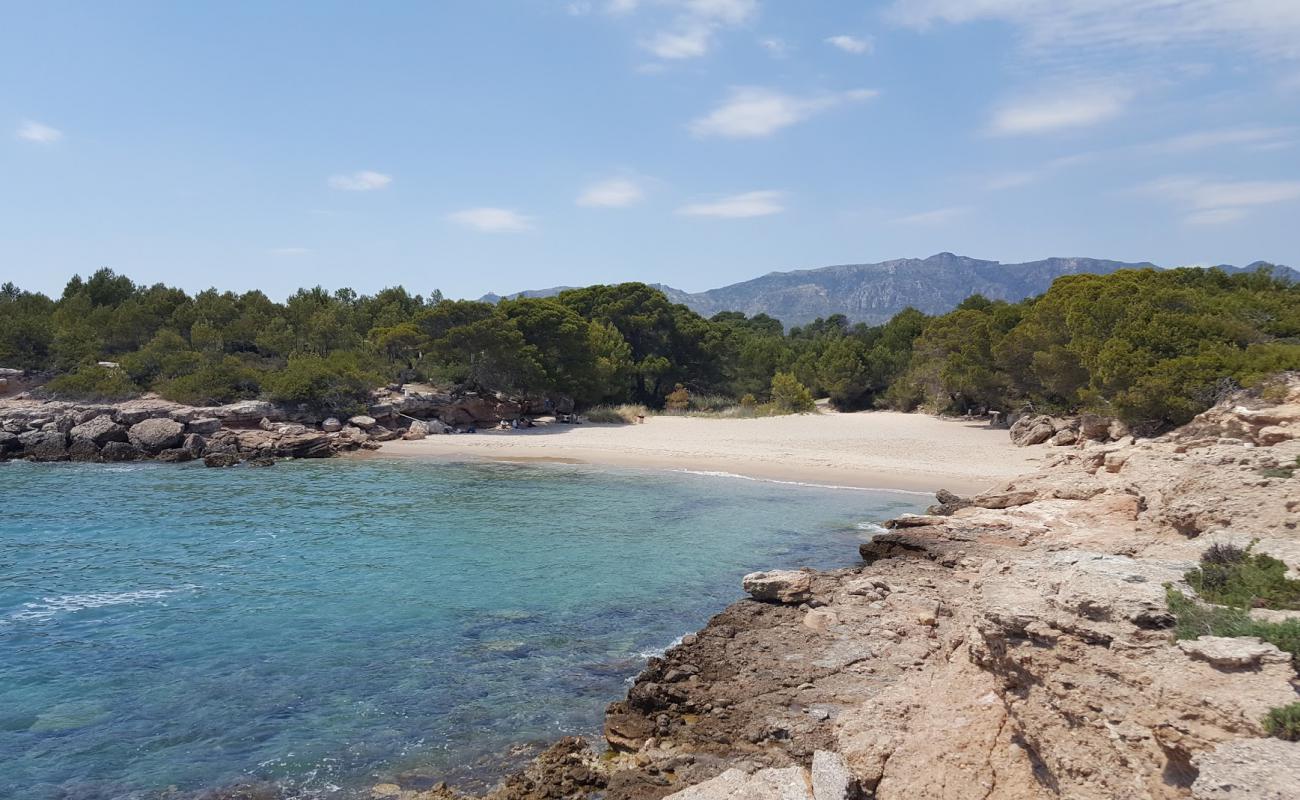 Cala Lo Ribellet'in fotoğrafı açık bej kum yüzey ile