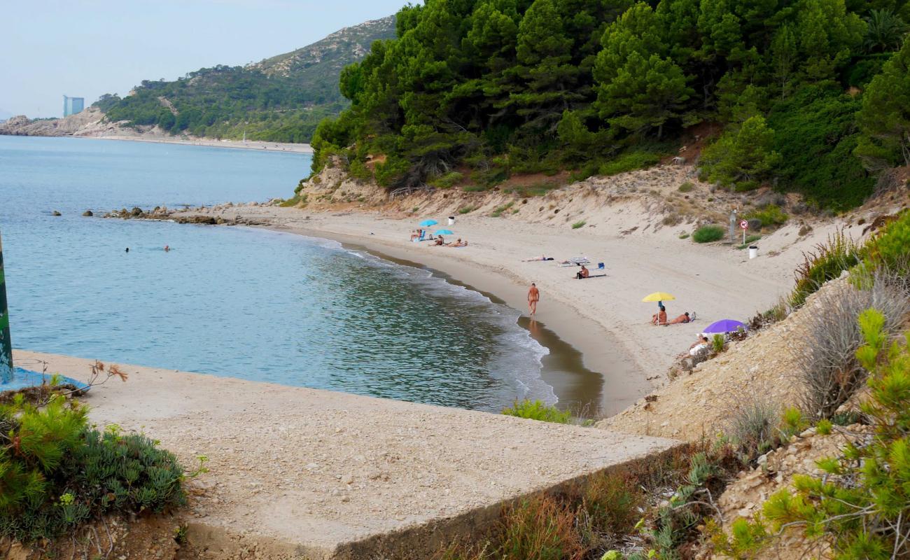 Platja de Cala d'Oques'in fotoğrafı açık bej kum yüzey ile