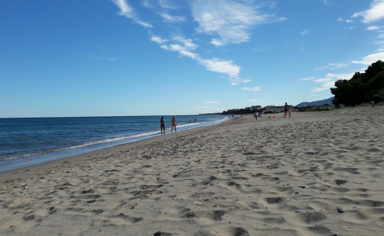 Platja de la Porquerola'in fotoğrafı açık bej kum yüzey ile