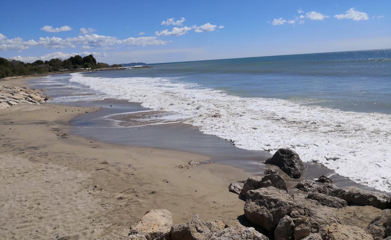 Platja el paradis'in fotoğrafı açık bej kum yüzey ile
