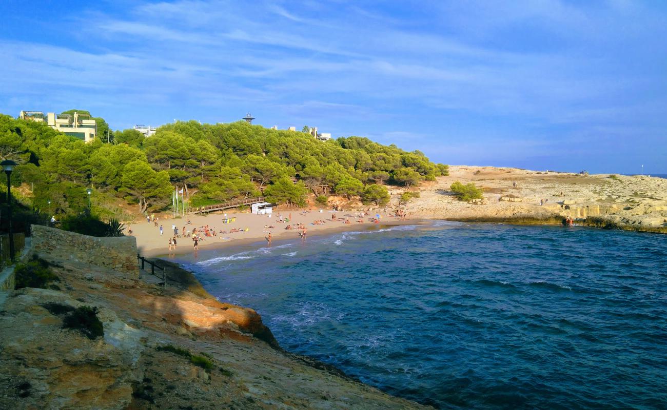 Cala Canyadell'in fotoğrafı açık bej kum yüzey ile