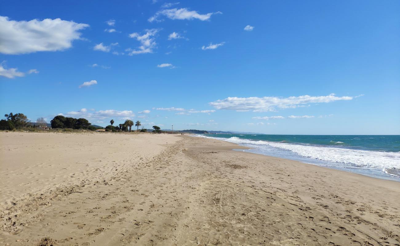 Playa Torredembarra'in fotoğrafı kahverengi kum yüzey ile