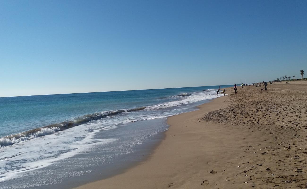 Platja del Prat'in fotoğrafı kahverengi kum yüzey ile