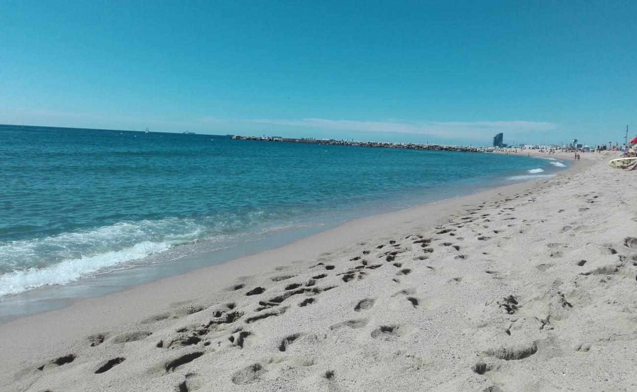 Platja de la Mar Bella'in fotoğrafı i̇nce bej kum yüzey ile