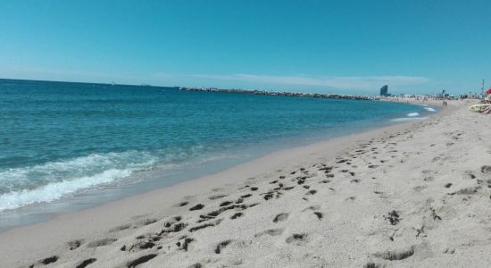 Platja de la Mar Bella