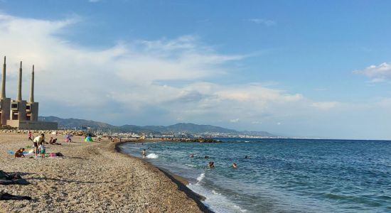 Platja del Forum