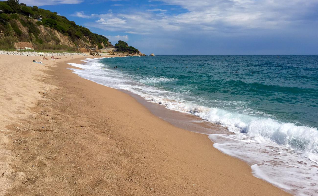 Platja El Morer'in fotoğrafı açık bej kum yüzey ile
