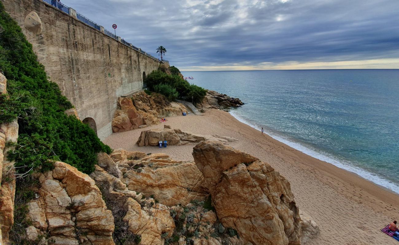 Cala de la Vinyeta II'in fotoğrafı açık bej kum yüzey ile